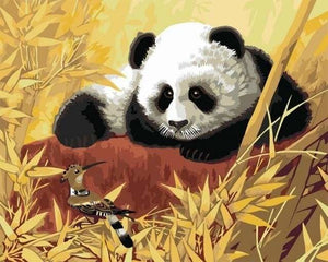 peinture par numéros | Panda et Oiseau | animaux facile oiseaux pandas | FiguredArt