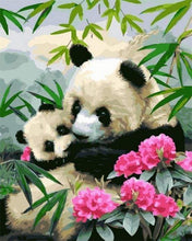 Charger l&#39;image dans la galerie, peinture par numéros | Pandas Géants | animaux facile pandas | FiguredArt