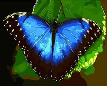 Charger l&#39;image dans la galerie, peinture par numéros | Papillon bleu | animaux facile papillons | FiguredArt
