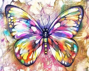 peinture par numéros | Papillon coloré | animaux complexe papillons | FiguredArt