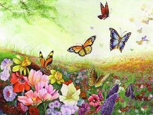 peinture par numéros | Papillons au-dessus dun Champ de Fleurs | animaux complexe fleurs papillons | FiguredArt