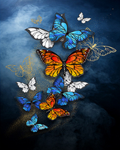 Charger l&#39;image dans la galerie, peinture par numéros | Papillons féériques multicolores | nouveautés animaux papillons intermédiaire | FiguredArt