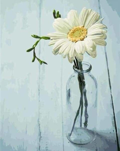 peinture par numéros | Pâquerette blanche | fleurs intermédiaire | FiguredArt