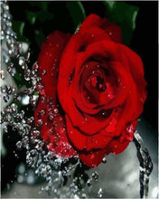 Charger l&#39;image dans la galerie, peinture par numéros | Parfum de Rose rouge | facile fleurs | FiguredArt