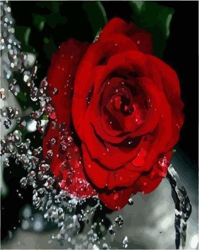 peinture par numéros | Parfum de Rose rouge | facile fleurs | FiguredArt