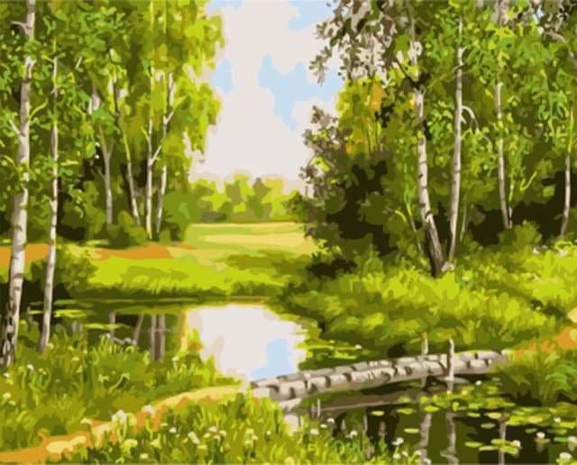 Shixpiov Peinture Par Numero Adulte Fleurs, Sans Cae Inclure Pinceaux Shixpiov Peinture Par Numero Adulte Fleurs, Sans Cae Inclure Pinceaux