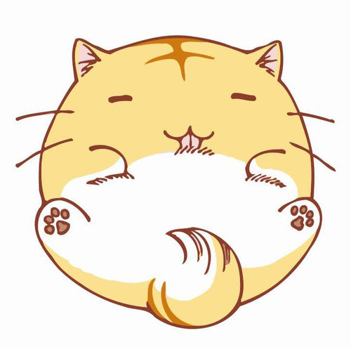 Peinture Chat tout Rond | Figured'Art