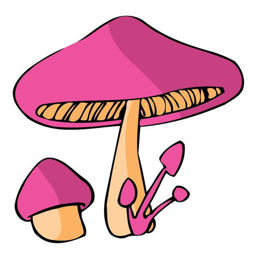Peinture par numéros Enfants | Champignon Rose | Figured'Art