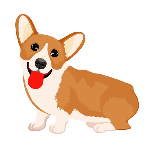 Peinture par numéros Enfants | Chien mignon | Figured'Art