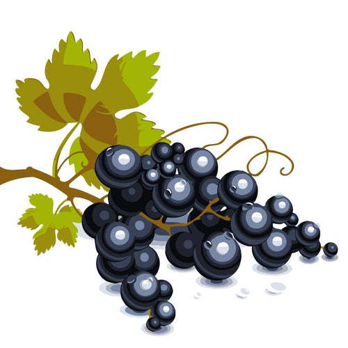 Peinture par numéros Enfants | Raisin | Figured'Art