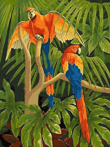 peinture par numéros | Perroquets dans la Jungle | animaux facile oiseaux perroquets | FiguredArt