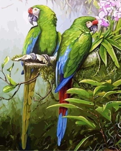 peinture par numéros | Perroquets verts | animaux intermédiaire oiseaux perroquets | FiguredArt