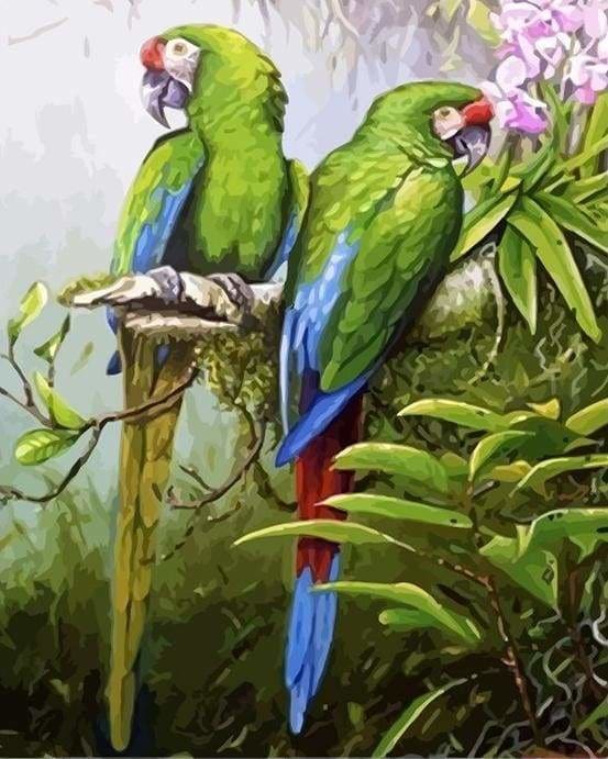 ▷ Peinture par numéros d'un Perroquet Coloré