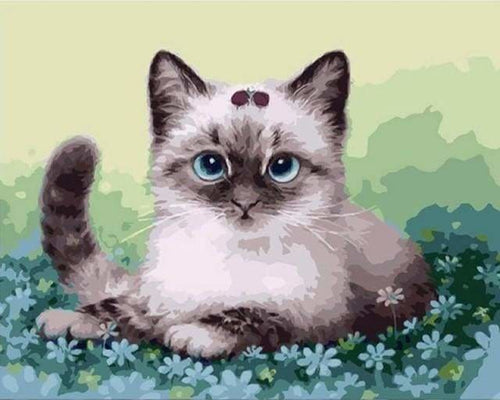 peinture par numéros | Petit Chaton dans les Fleurs | animaux chats facile | FiguredArt