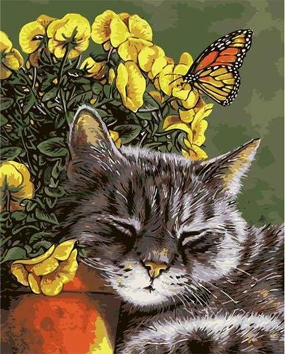 peinture par numéros | Petit Chaton endormi | animaux chats facile | FiguredArt