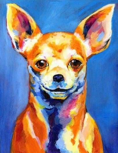 peinture par numéros | Petit Chien joyeux | animaux chiens complexe | FiguredArt