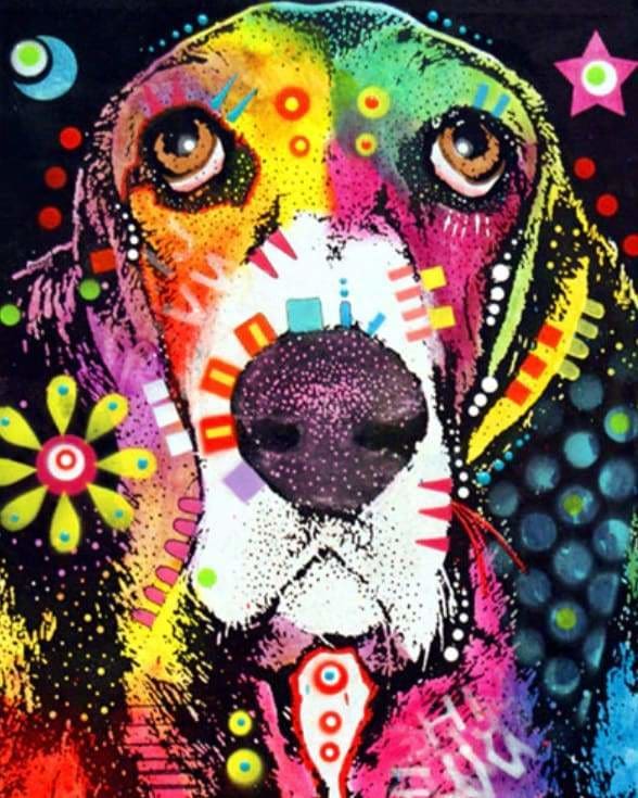 peinture par numéros | Petit Chien triste | animaux chiens complexe Pop Art | FiguredArt
