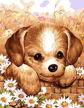 Charger l&#39;image dans la galerie, peinture par numéros | Petit Chiot | animaux chiens intermédiaire | FiguredArt