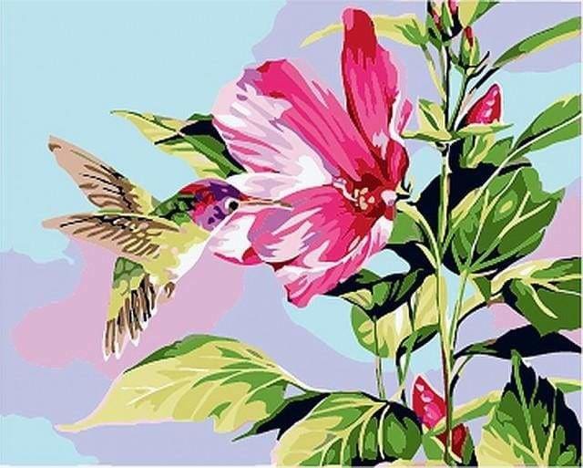 peinture par numéros | Petit colibri dans les Fleurs | animaux facile fleurs oiseaux | FiguredArt