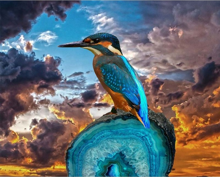 peinture par numéros | Petit Oiseau a long Bec | animaux, Intermédiaire, oiseaux | FiguredArt
