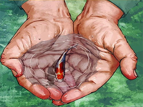 peinture par numéros | Petit Poisson dans les mains | animaux, Intermédiaire, poissons | FiguredArt