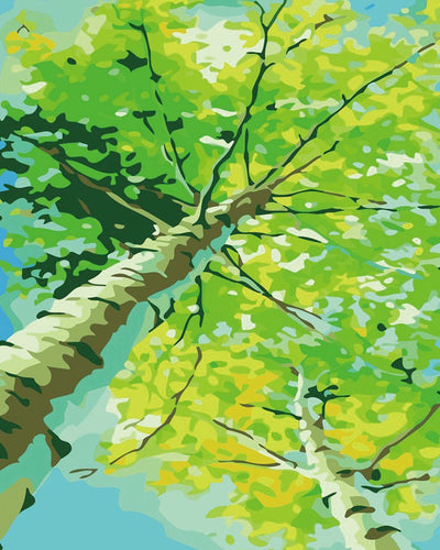 peinture par numéros | Peuplier au Printemps | arbres, facile | FiguredArt