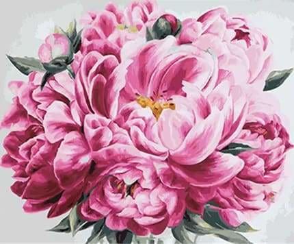peinture par numéros | Pivoines | fleurs intermédiaire | FiguredArt