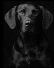 Charger l&#39;image dans la galerie, peinture par numéros | Portrait de Chien noir | animaux chiens complexe | FiguredArt