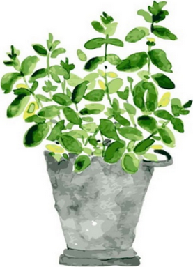 peinture par numéros | Pot de Plantes | Facile, fleurs | FiguredArt