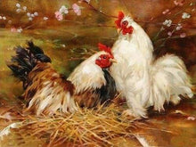 Charger l&#39;image dans la galerie, peinture par numéros | Poule et Coq | animaux complexe oiseaux | FiguredArt