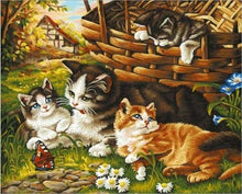 Charger l&#39;image dans la galerie, peinture par numéros | Quatre Chats et Papillon | animaux chats intermédiaire | FiguredArt