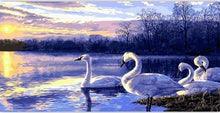 Charger l&#39;image dans la galerie, peinture par numéros | Quatre Cygnes sur un Lac | animaux cignes complexe oiseaux paysages | FiguredArt