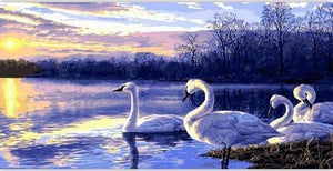 peinture par numéros | Quatre Cygnes sur un Lac | animaux cignes complexe oiseaux paysages | FiguredArt