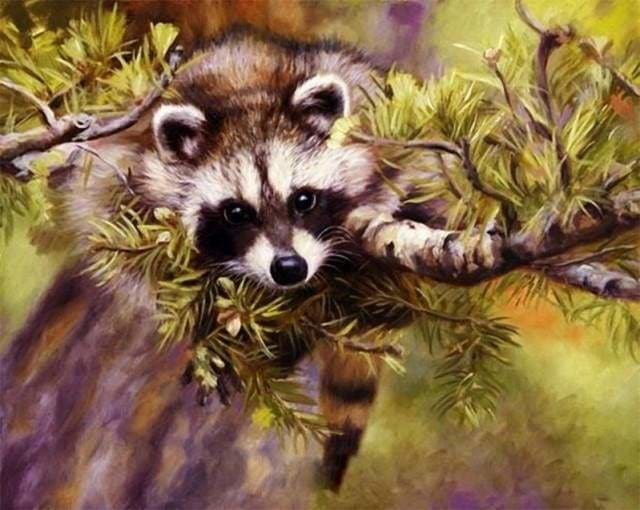 peinture par numéros | Raton laveur sur un Arbre | animaux arbres complexe ratons laveurs | FiguredArt
