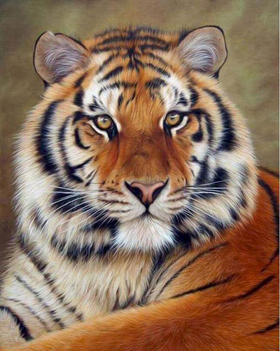 peinture par numéros | Regard de Tigre | nouveautés animaux tigres complexe | FiguredArt