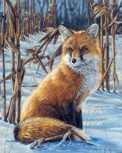 Charger l&#39;image dans la galerie, Peinture par numéros Renard dans la Neige | Figured&#39;Art facile animaux renards nouveautés