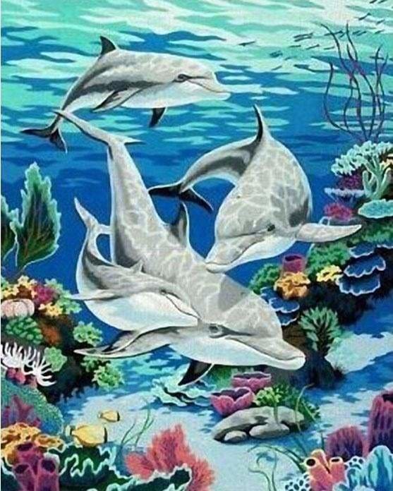 peinture par numéros | Rencontre avec les Dauphins | animaux dauphins intermédiaire | FiguredArt