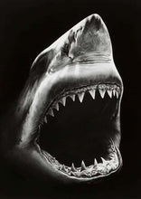 Charger l&#39;image dans la galerie, peinture par numéros | Requin en noir et blanc | animaux complexe poissons | FiguredArt