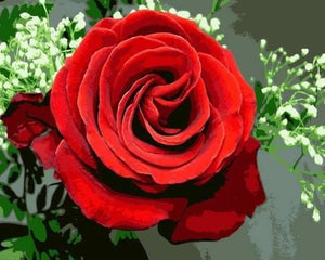 peinture par numéros | Rose rouge | facile fleurs | FiguredArt