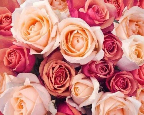 peinture par numéros | Roses colorées | complexe fleurs | FiguredArt