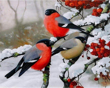 Charger l&#39;image dans la galerie, peinture par numéros | Rouge Gorge sous la neige | nouveautés animaux oiseaux hiver complexe | FiguredArt