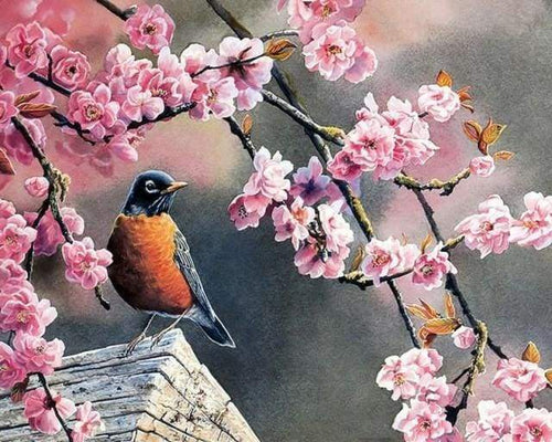 peinture par numéros | Rougegorge au Printemps | animaux fleurs intermédiaire nouveautés | FiguredArt