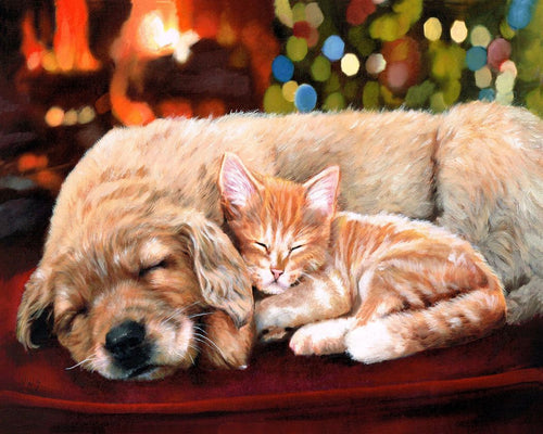 Peinture par numéros Sieste entre amis | Figured'Art facile animaux chiens chats nouveautés