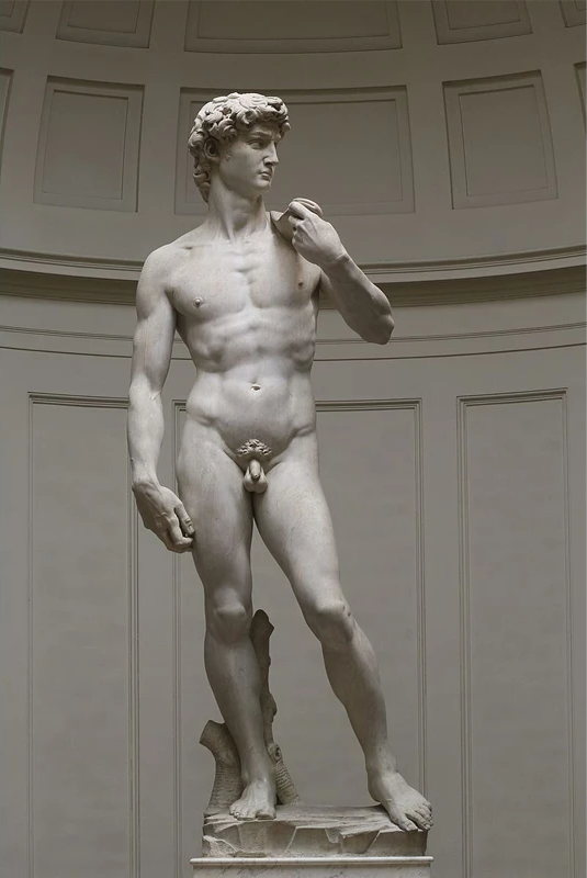 peinture par numéros | Statue d’Homme | Complexe, portrait | FiguredArt