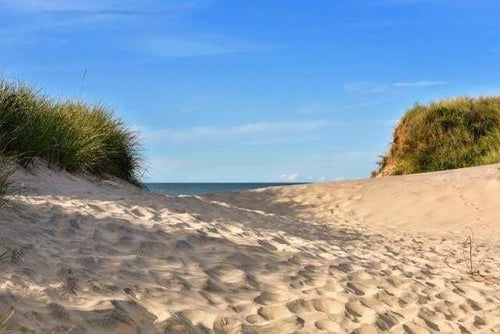 peinture par numéros | Sur le sable de la Plage | intermédiaire paysages | FiguredArt