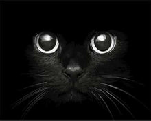 Charger l&#39;image dans la galerie, peinture par numéros | Tête de Chat noir | animaux chats intermédiaire | FiguredArt