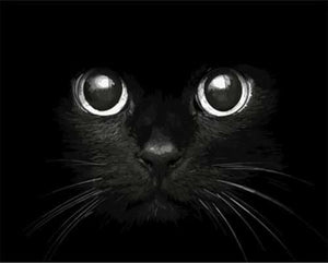 peinture par numéros | Tête de Chat noir | animaux chats intermédiaire | FiguredArt