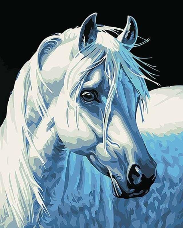 peinture par numéros | Tête de Cheval blanc | animaux chevaux facile | FiguredArt