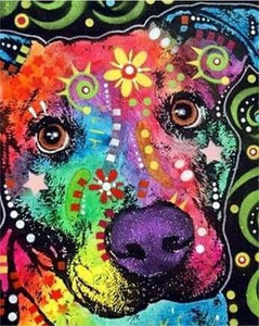 peinture par numéros | Tête de Chien coloré | animaux chiens complexe | FiguredArt