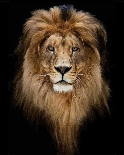 peinture par numéros | Tête de Lion doré | animaux intermédiaire lions | FiguredArt